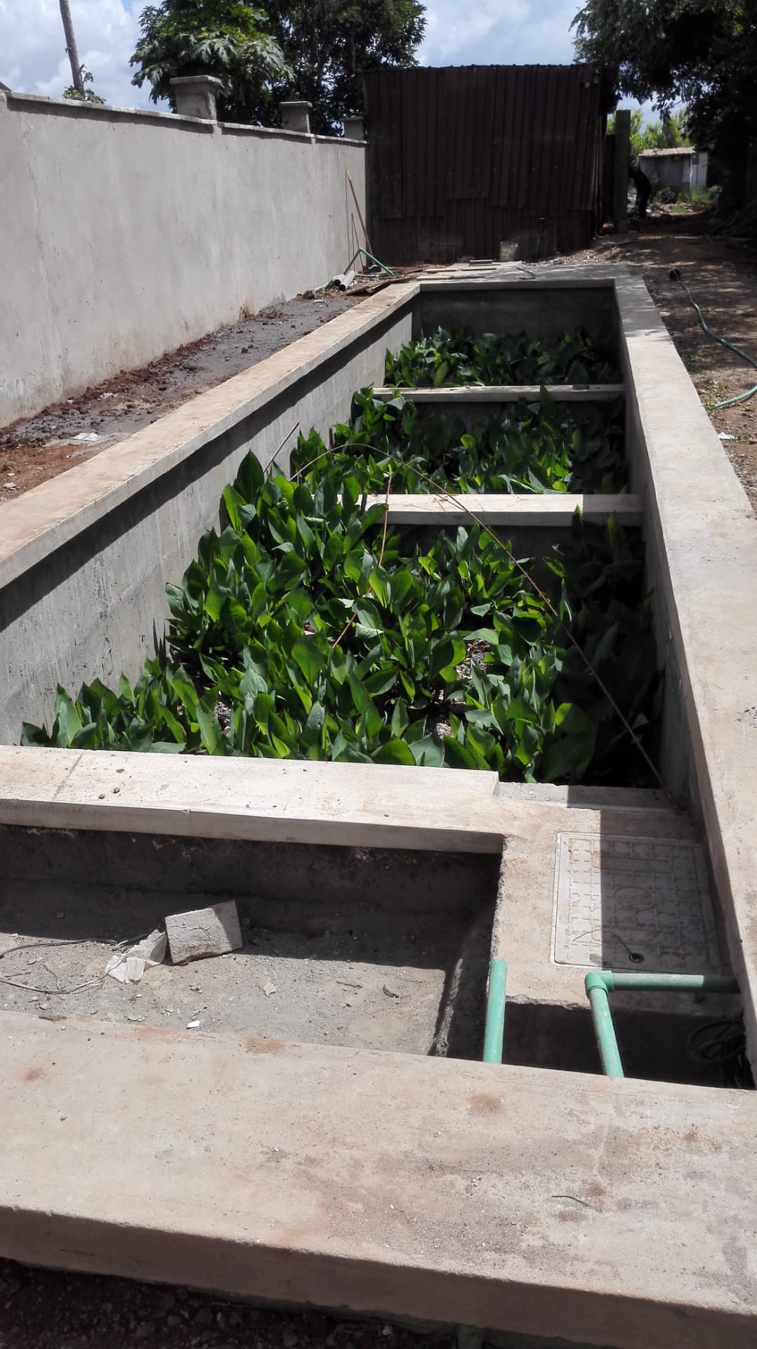 Biogreen wastewater treatment installation at School Wastewater System