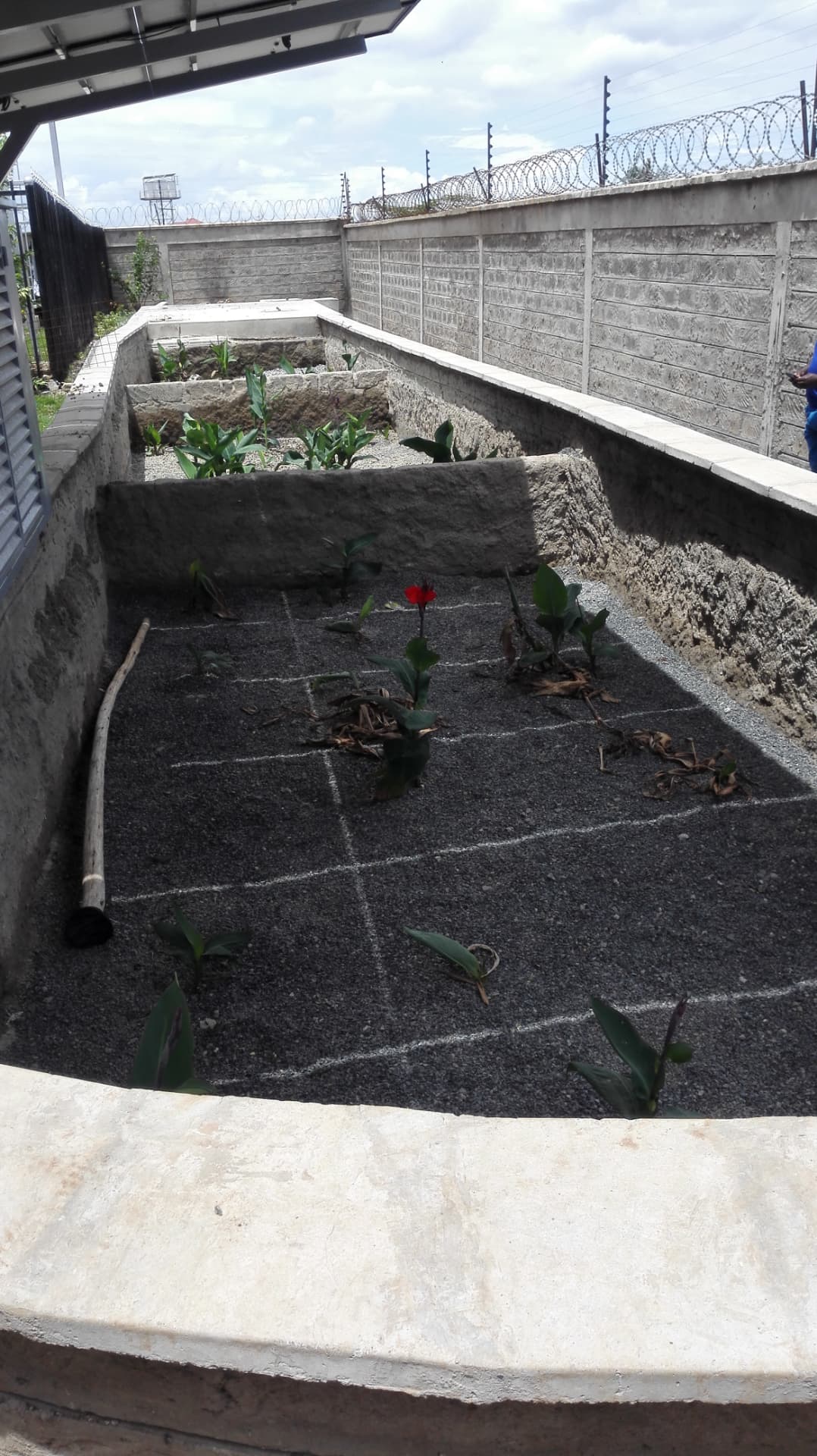 Biogreen installation at Residential Homes Complex