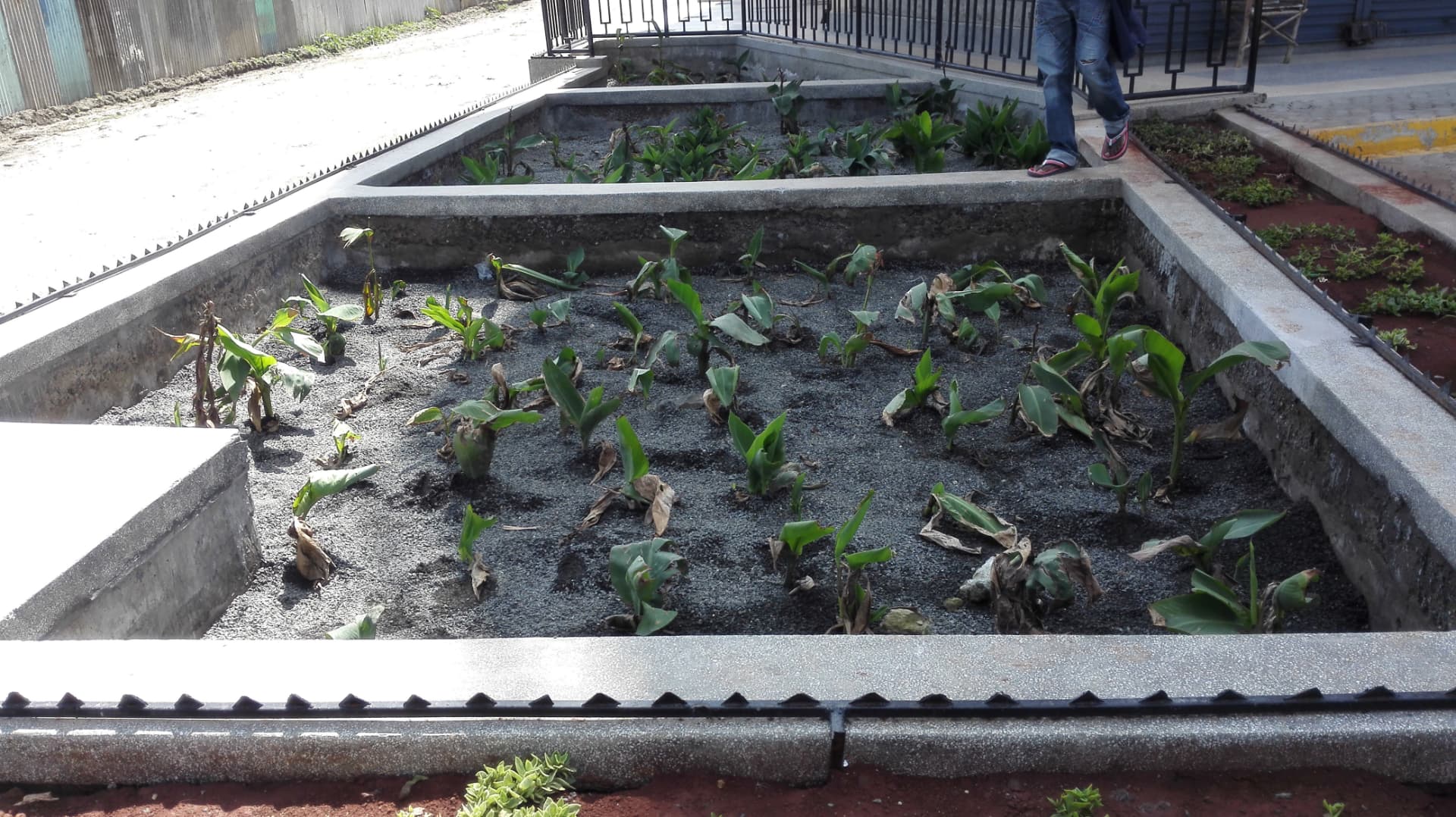 Biogreen installation at Kitengela Apartments
