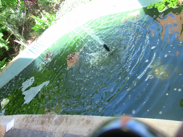 Biogreen wastewater treatment installation at Fish Pond Aeration